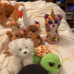 All Beanie Babies Never Touched Or Played With 75.00 Or Best Offer’ Cute Amd Clean!