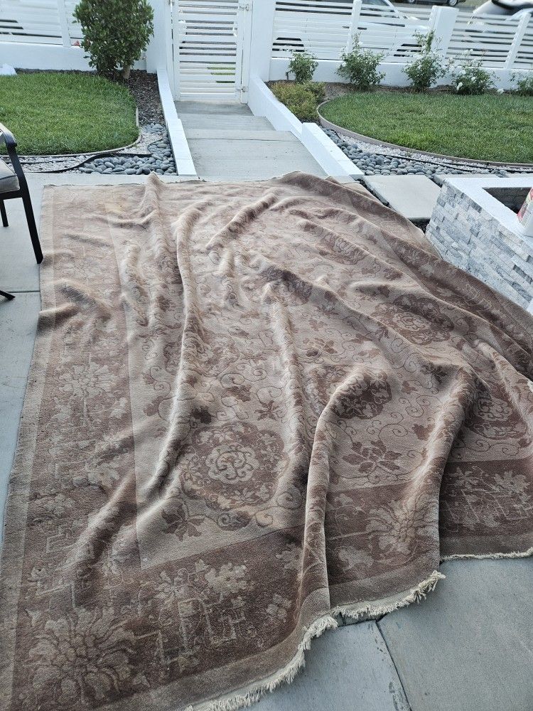 Rug $50 Dollars Cheap Just Needs Cleaning