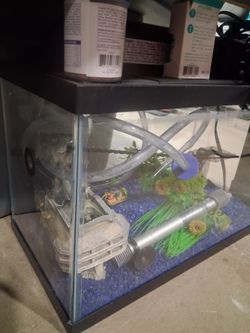 Fishtank