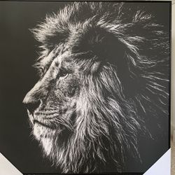 Lion Black And White Canvas