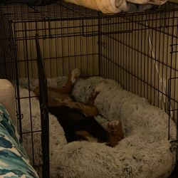 42.0”L x 28.0”W x 30.0”H Dog Crate 