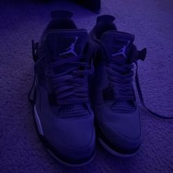 Air Jordan 4 Retro “Cool Grey” – Size 10.5