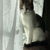 Liliana