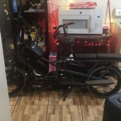 Feral E-bike