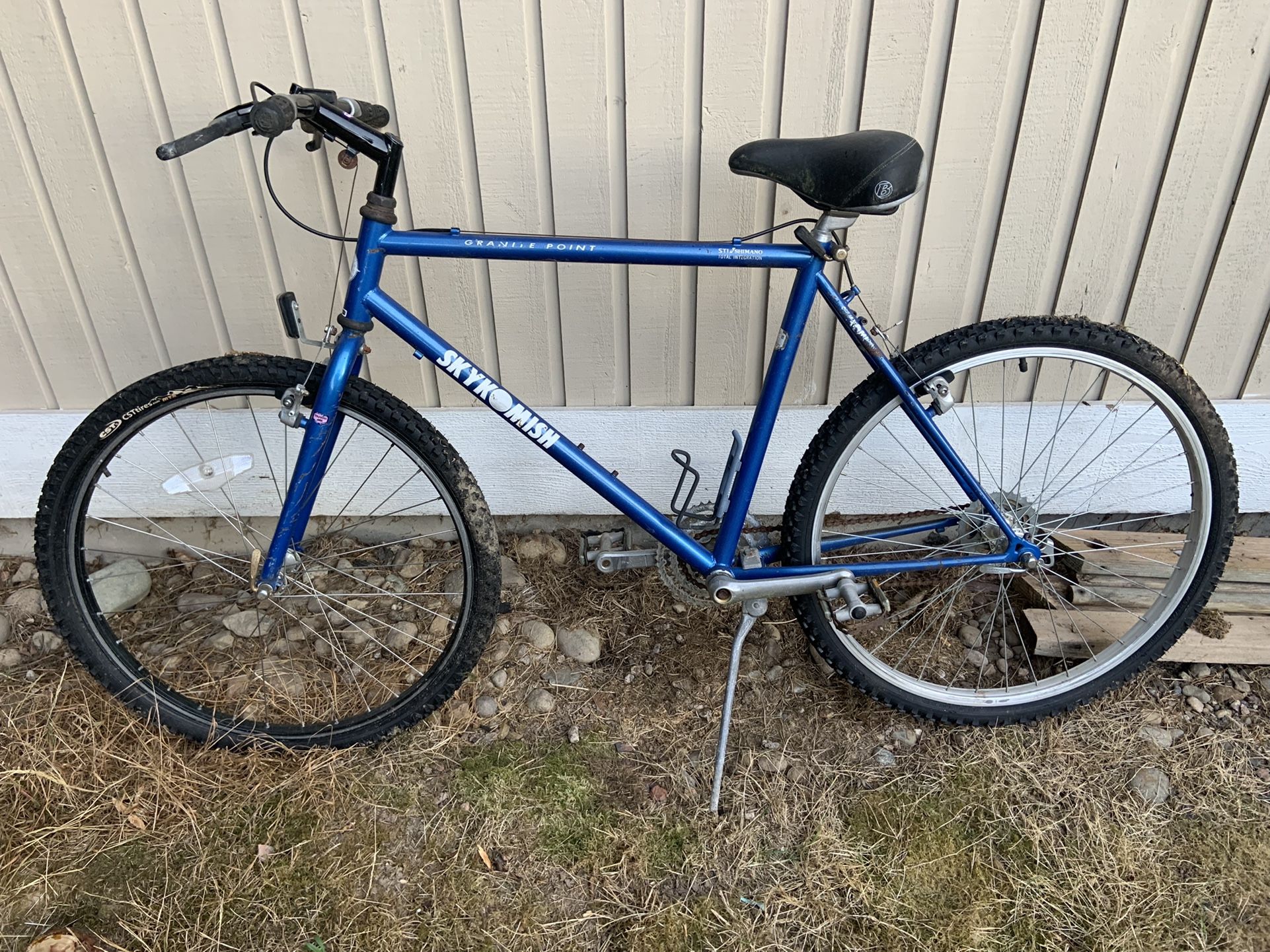 Skykomish Mountain Bike No Chain/gear Shifters/brakes/cables