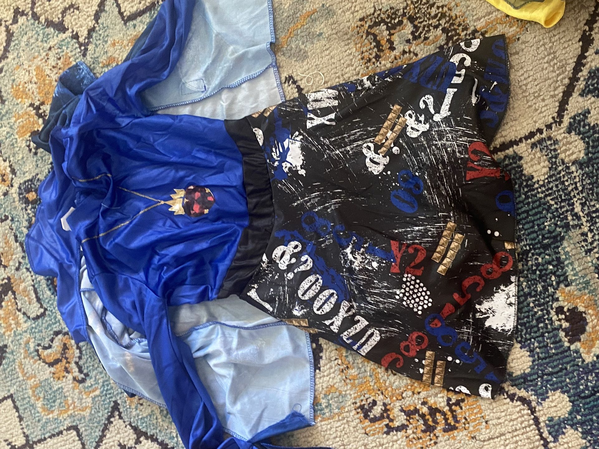 Descendants Movie Costume - Evie
