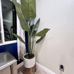 Artificial Plant