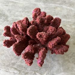 Coral For Fiah Tank - Faux Rubber 