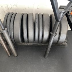 Bumper Plates Various Weights 