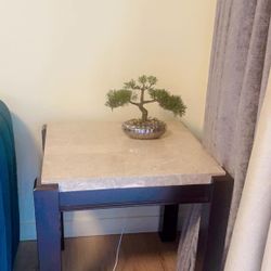 Coffee Table With Side Tables 