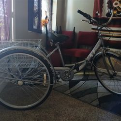 Adult Tricycle 