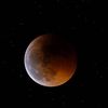 BLOODMOON 