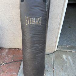 Everlast Heavy Bag/ Punching Bag