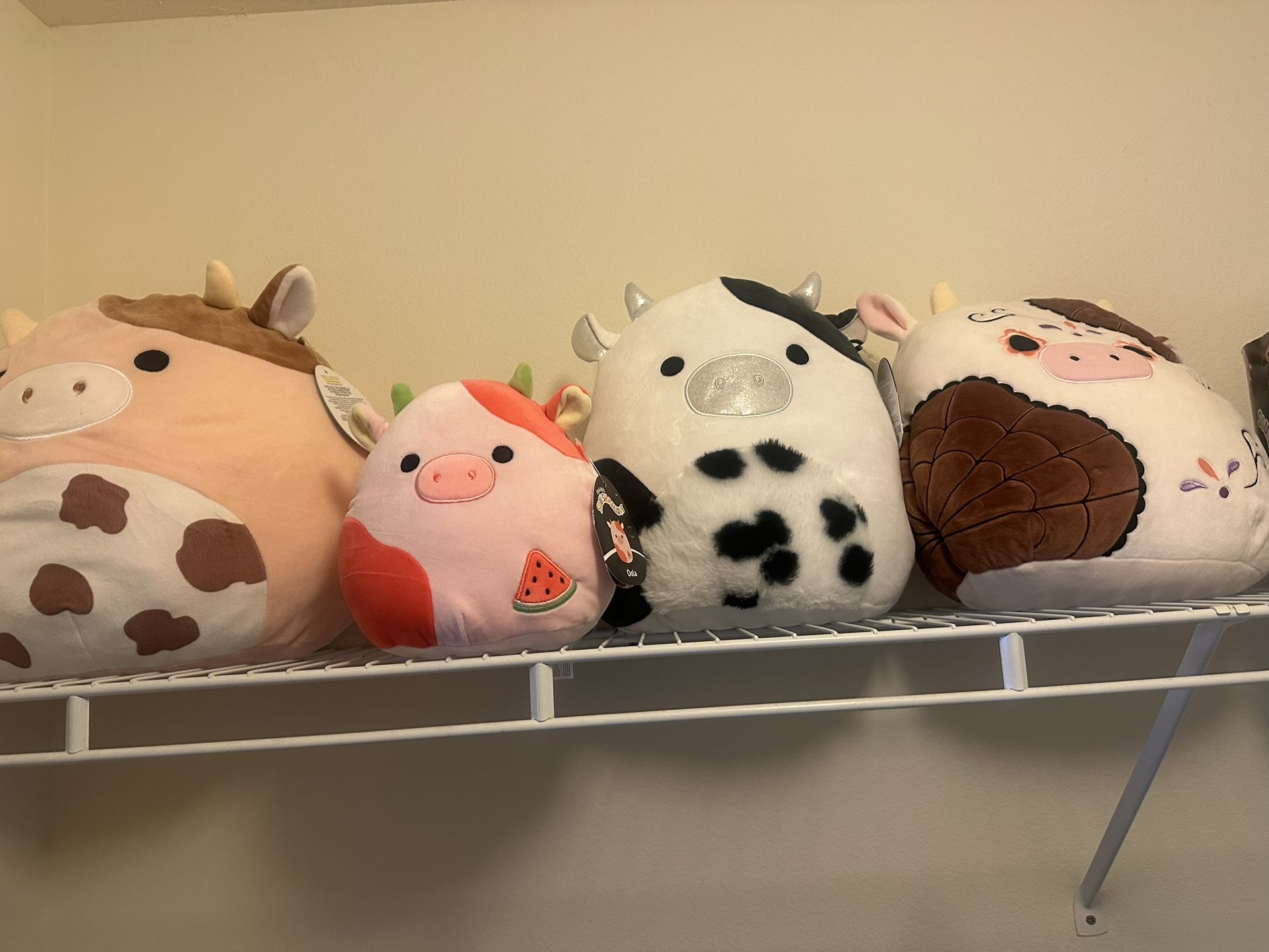Squishmallow Cow Bundle (read Description)