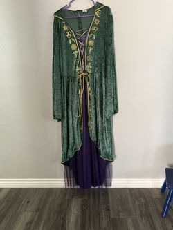 Hocus Pocus Winifred Costume 