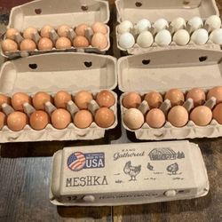$6 Dozen Fresh  Eggs From Happy Chickens  