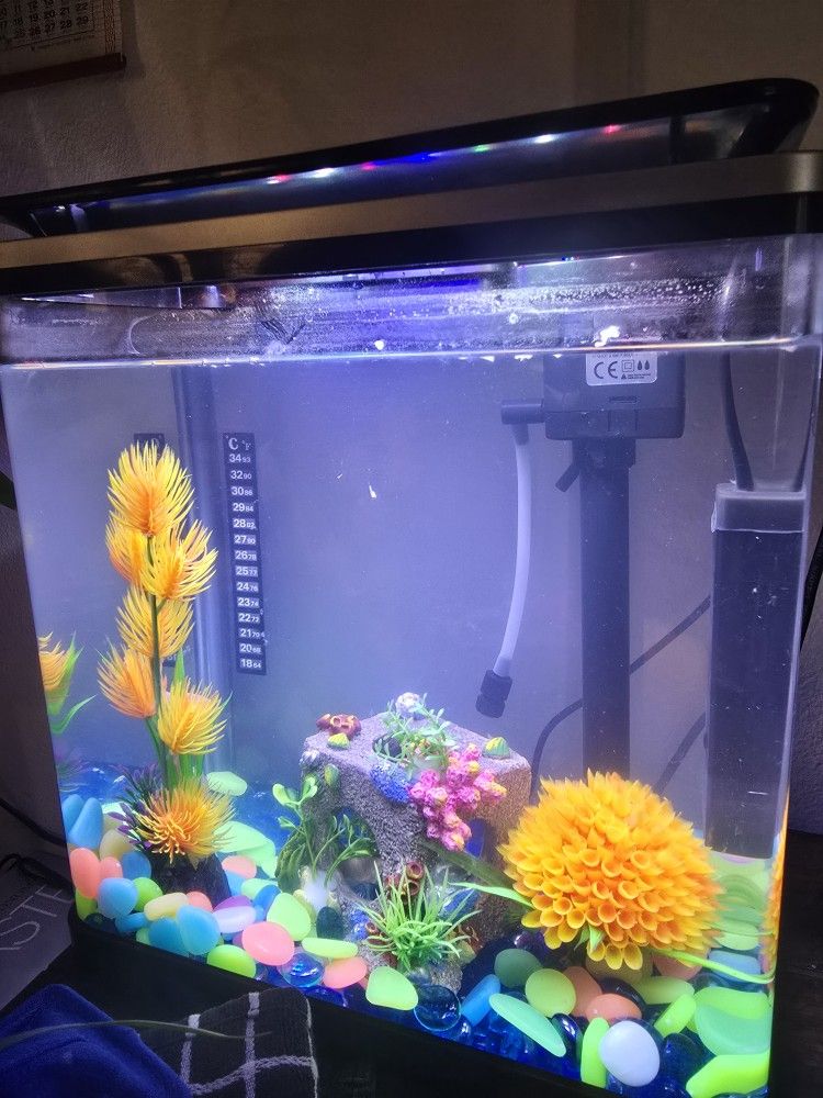 Fish Tank 3 Gallon