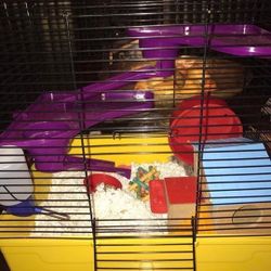 Animal cage