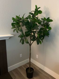 Decorative Tree