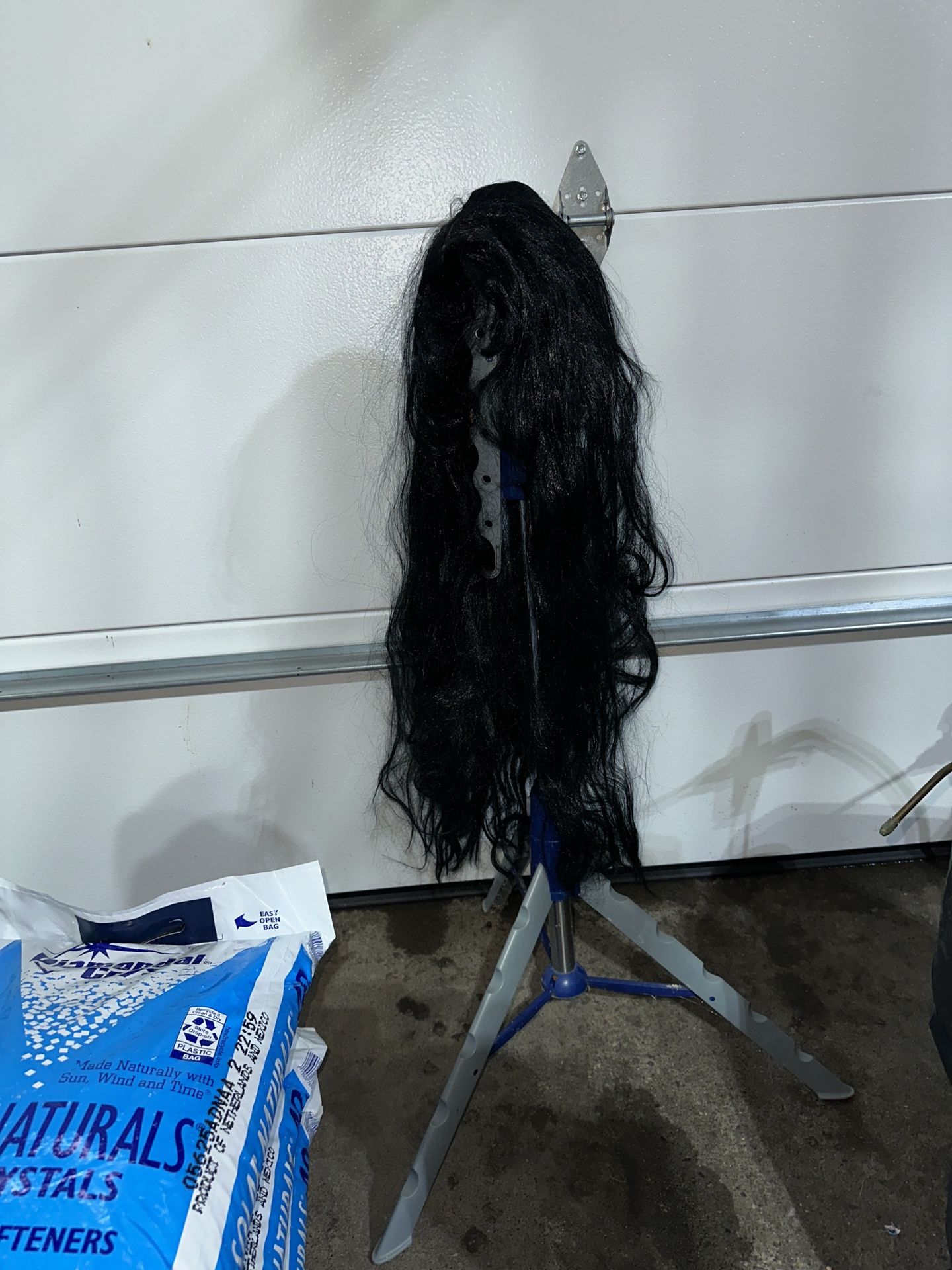 Long Black Wig