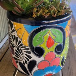 Ceramic Planter w/ Succulents