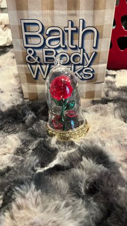 Disney princess Wallflower 