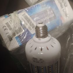 Lightsbulbs
