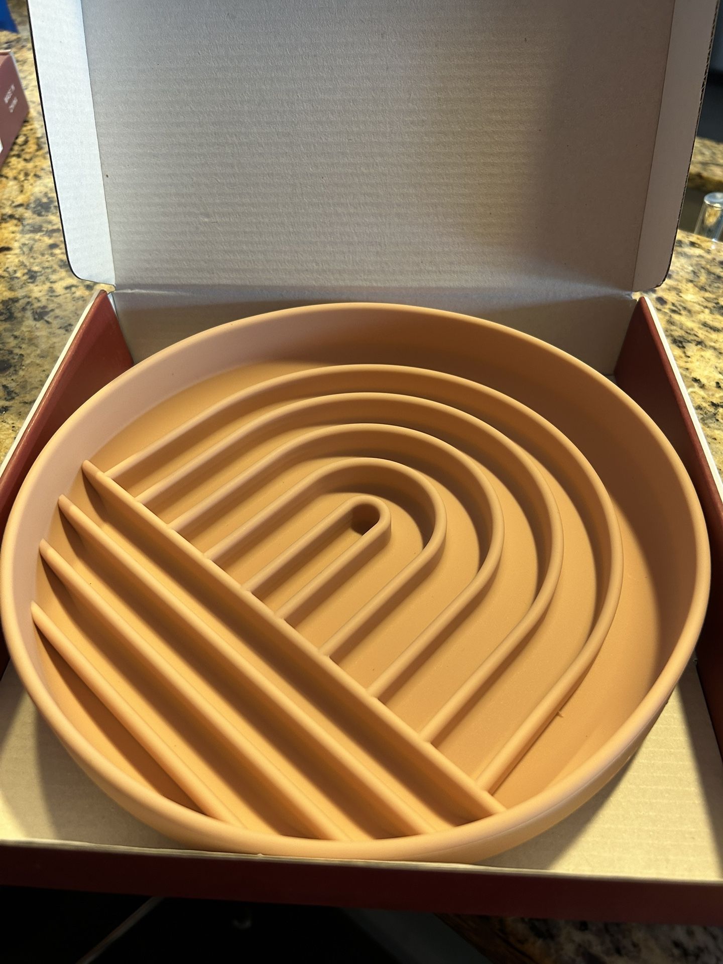Slow Feeding Dog Bowl