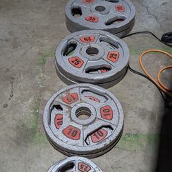 Solid Metal  Coated Weights. 