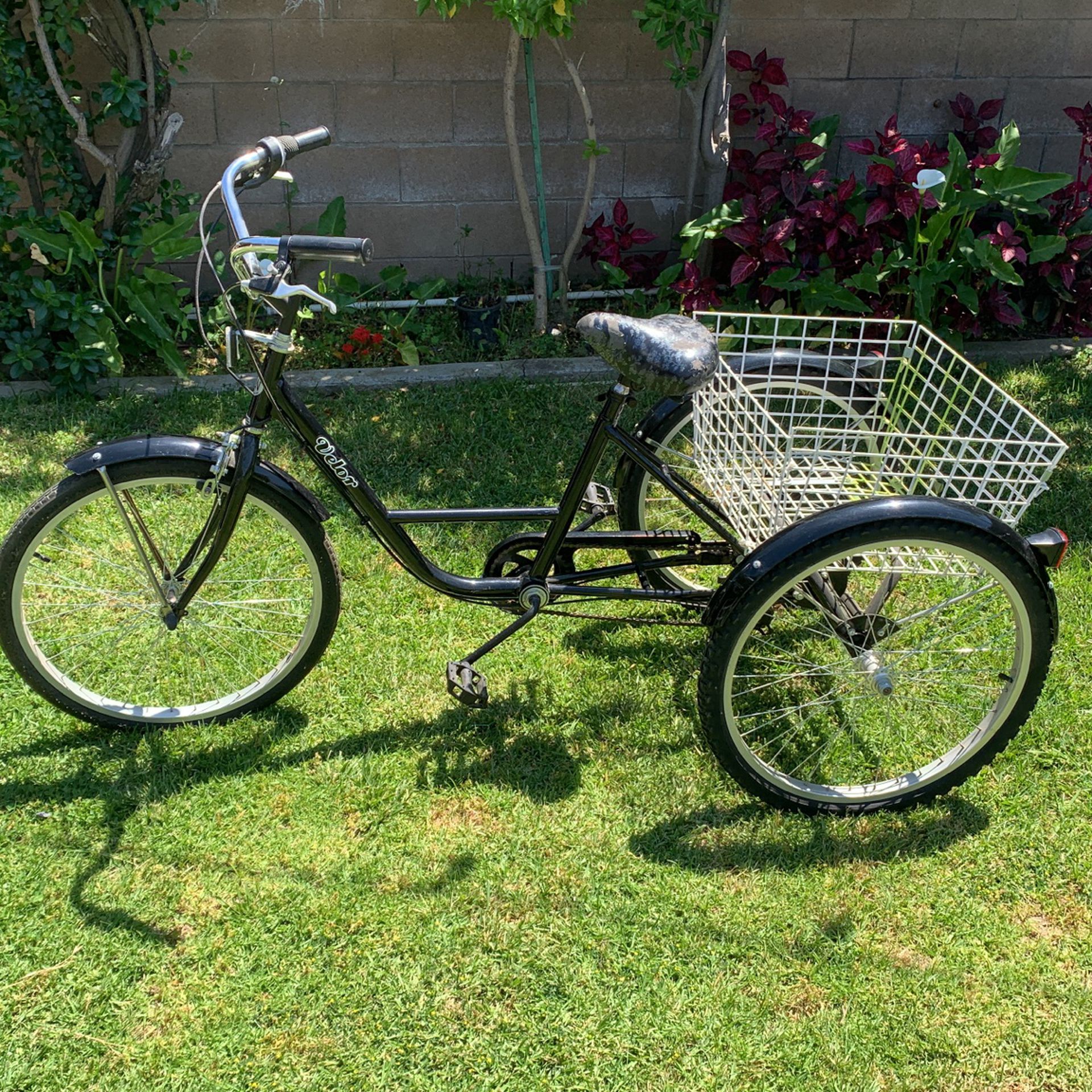 Adult Tricycle Trike…yes It Is Available 