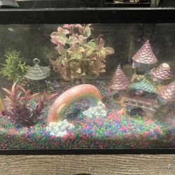10 Gallon Fish aquarium Tank