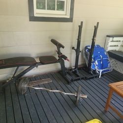 Benchpress Bar And Curl Bar With Extra Plates .