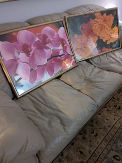 Flowered Photographers