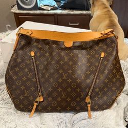 Louis Vuitton Delightful Tote GM Brown Leather Zipper Pocket