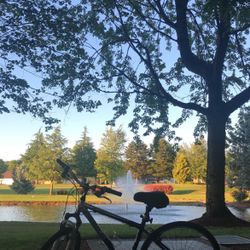 Trek Bike 