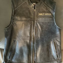 Harley passing 2024 link vest