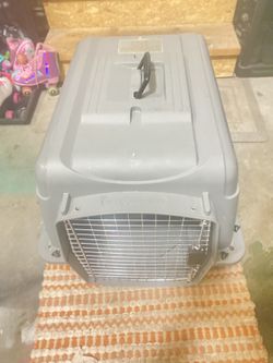 Used Dog Kennel