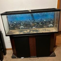 100 Gallon Fish Tank 50 In