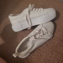Brand New Platforms 