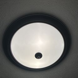 Flush Mount Ceiling Light