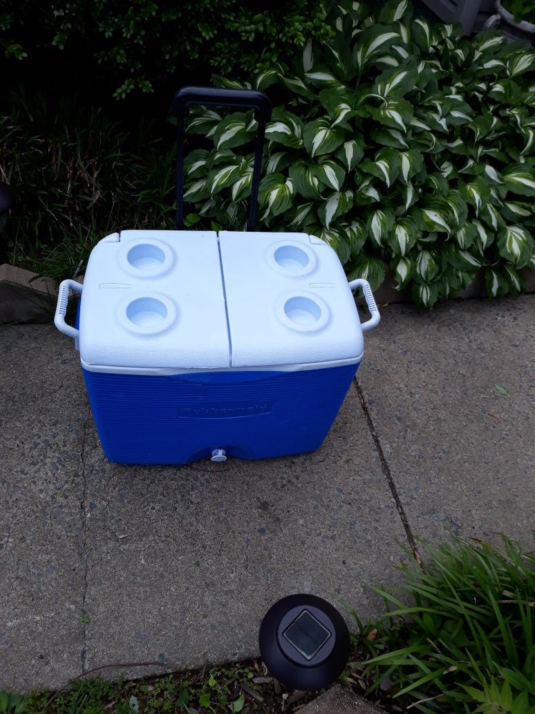 Ice cooler