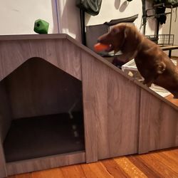Dog Bed/ Ramp and storage. 