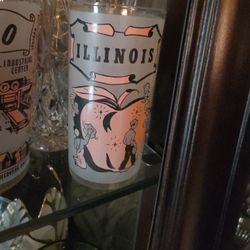 Vintage Mid Century Hazel Atlas Illinois Pink Souvenir Frosted Glass