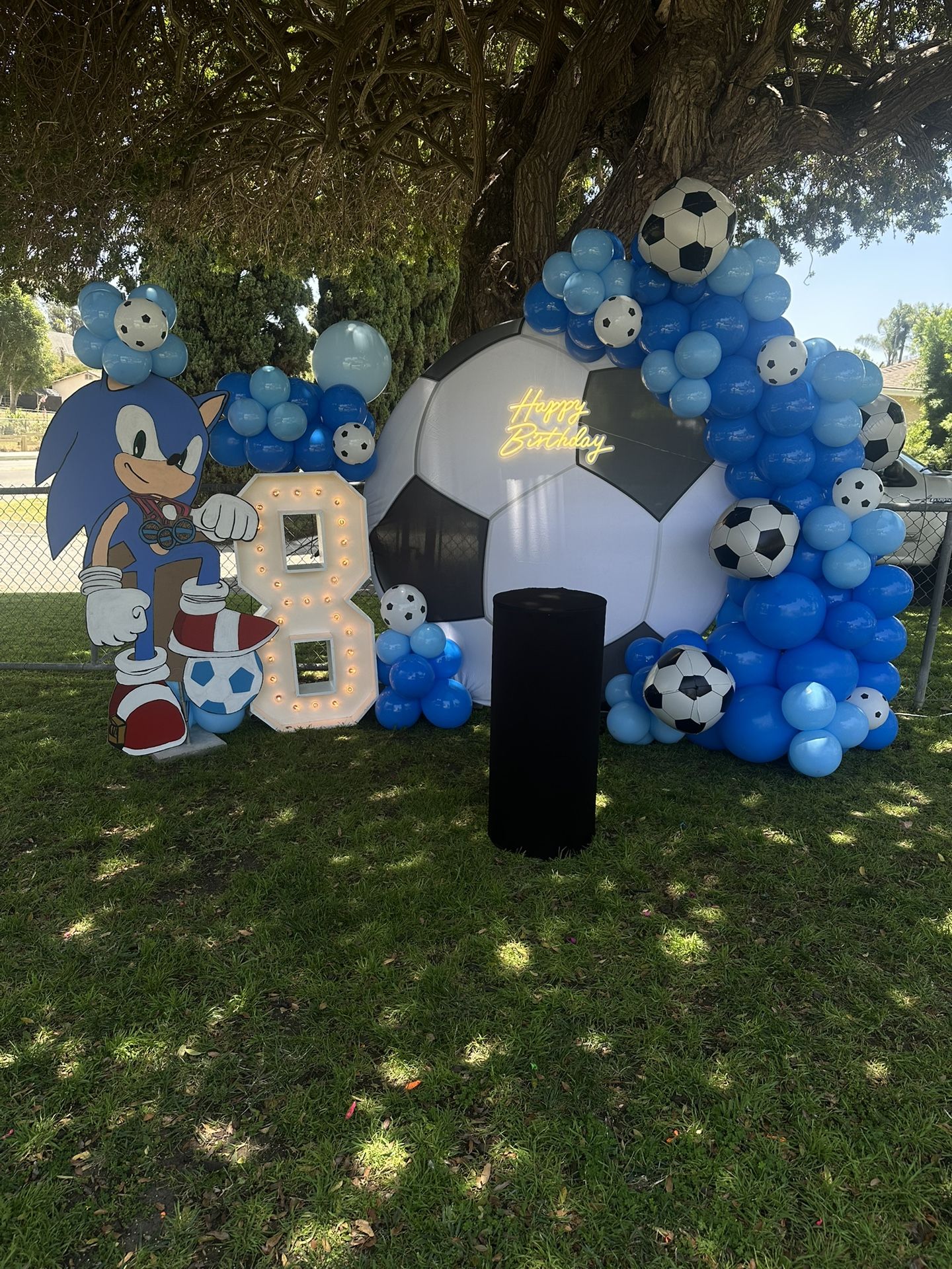 Soccer Team Birthday Party