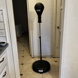 speed bag/ punching bag 