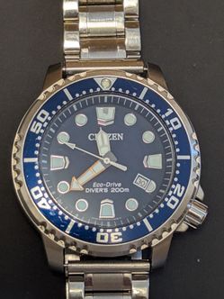 Citizen ProMaster Dive Eco-Drive Watch
