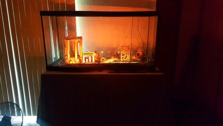 Big fish tank 75 gallon