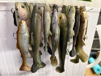 Swimbaits For Sale