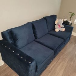 $250 Navy Sofa