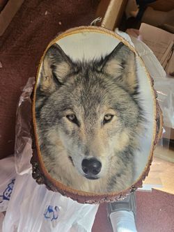 Wolf pictures on wood plaques